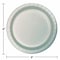 Touch Of Color 9" Shimmering Silver Paper Plates 240 PK 47106B - alternate 2